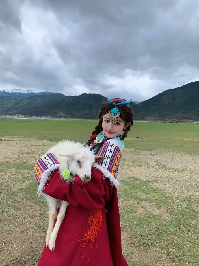 下载小青蛙界面